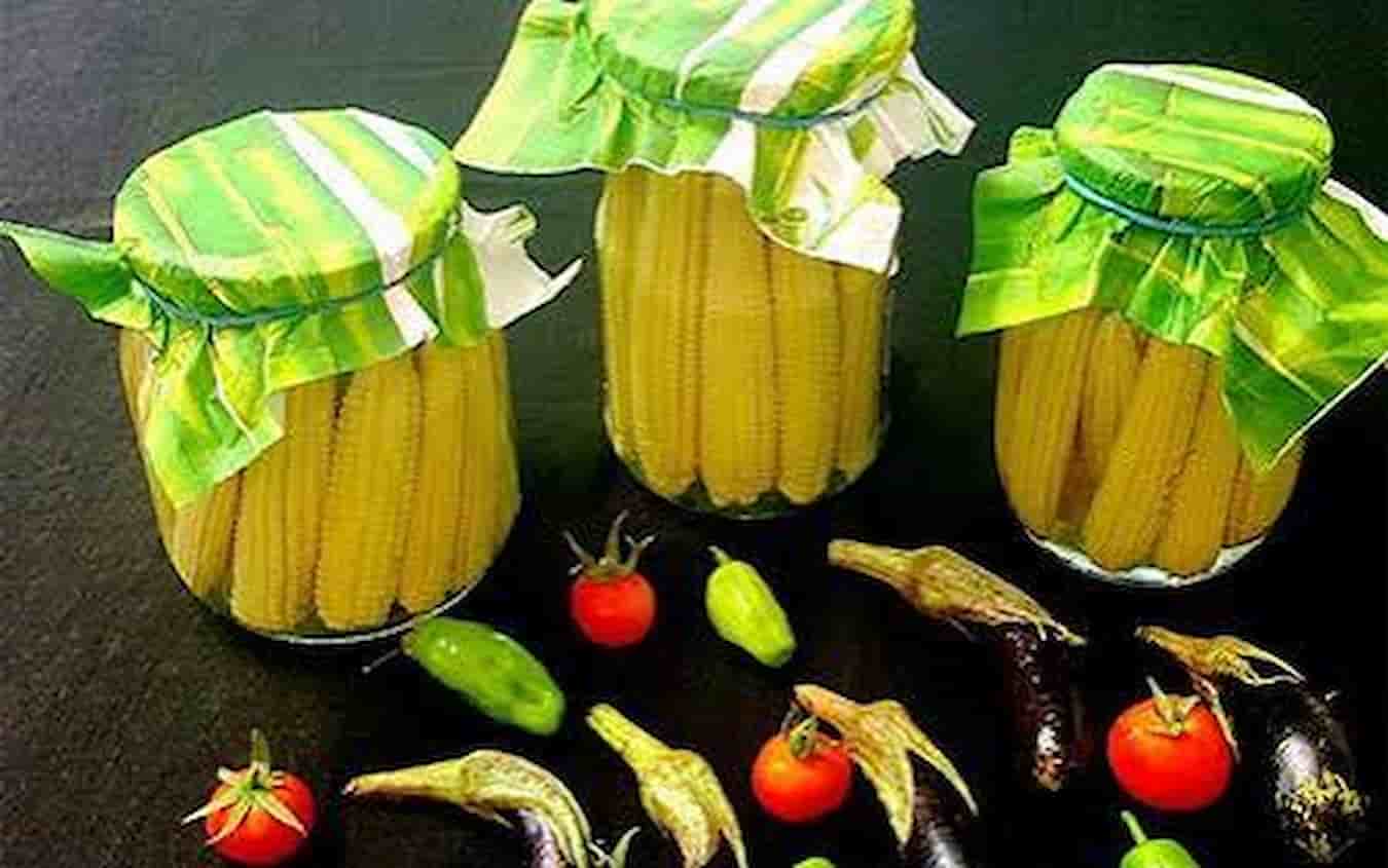 کنسرو ذرت درسته تهیه شده از ذرت مرغوب و شیرین